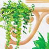 Ivy Garden - Large Wall Decals Stickers Appliques Home Decor